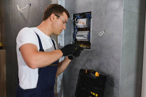 Best Ceiling Fan Installation Electrician  in Crested Butte, CO
