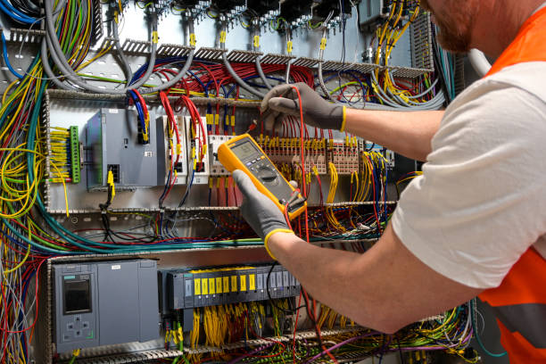 Best Electric Panel Repair  in Crested Butte, CO